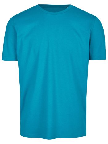 Basic Bio T-Shirt Rundhals (men) Nr.3 Petrol